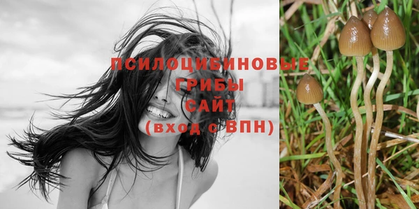 ALPHA-PVP Вязьма